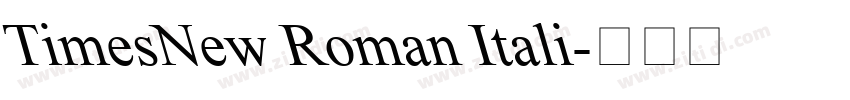 TimesNew Roman Itali字体转换